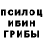 Галлюциногенные грибы GOLDEN TEACHER Okami Hamida