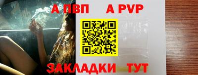 спайс Кингисепп