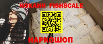 спайс Кингисепп