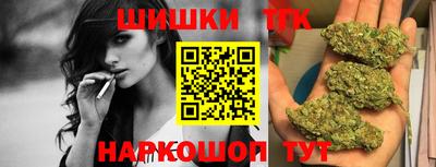 спайс Кингисепп