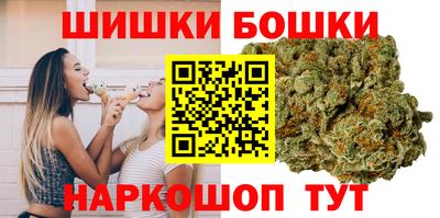 спайс Кингисепп