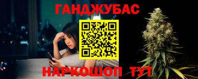 спайс Кингисепп