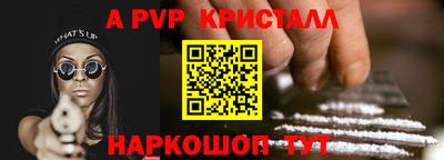 спайс Кингисепп