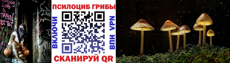 закладка  ссылка на мегу ссылка  darknet клад  Кропоткин  Галлюциногенные грибы ЛСД 