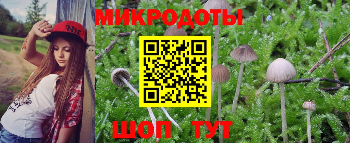 Галлюциногенные грибы мухоморы Кропоткин
