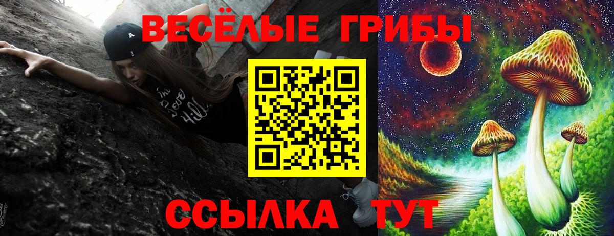 Кропоткин  Псилоцибиновые грибы мицелий  наркота  Вход с VPN 